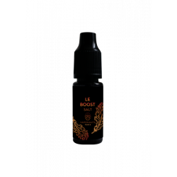 AVENIR VAPOTER  BOOSTER...
